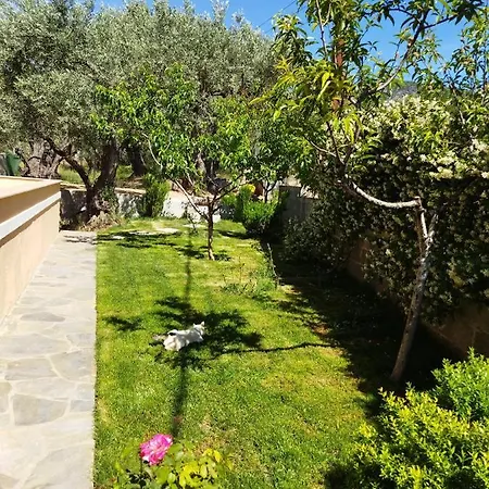 View House בית נופש *