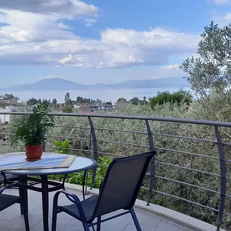 בית נופש View House אגריה