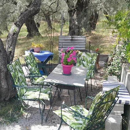 View House בית נופש אגריה