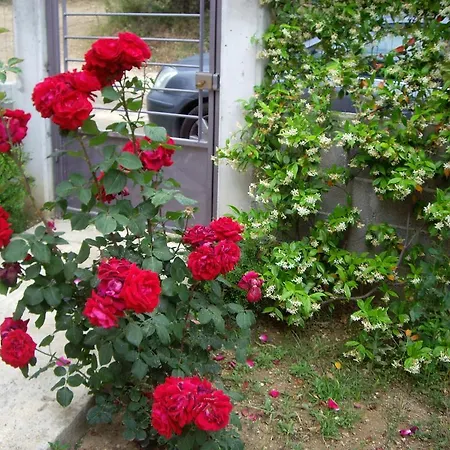 View House אגריה