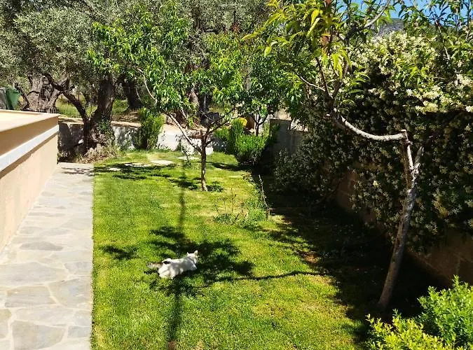 View House Nyaraló *