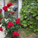 View House Agria