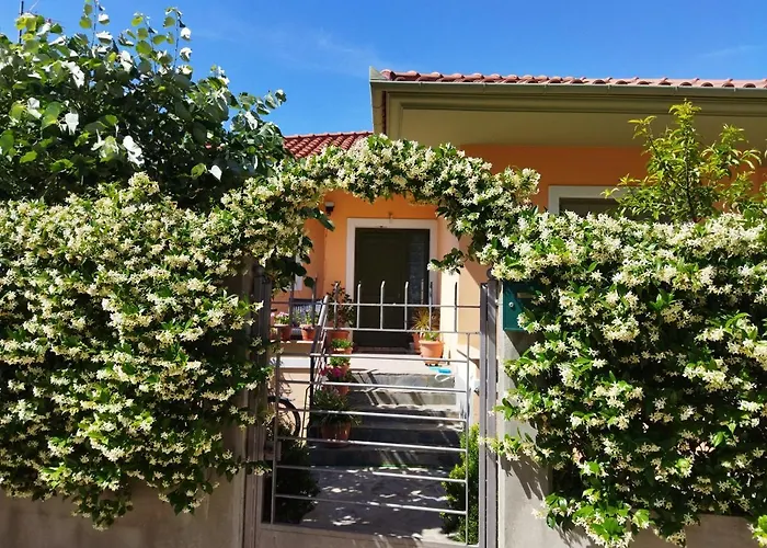 View House * Агрия