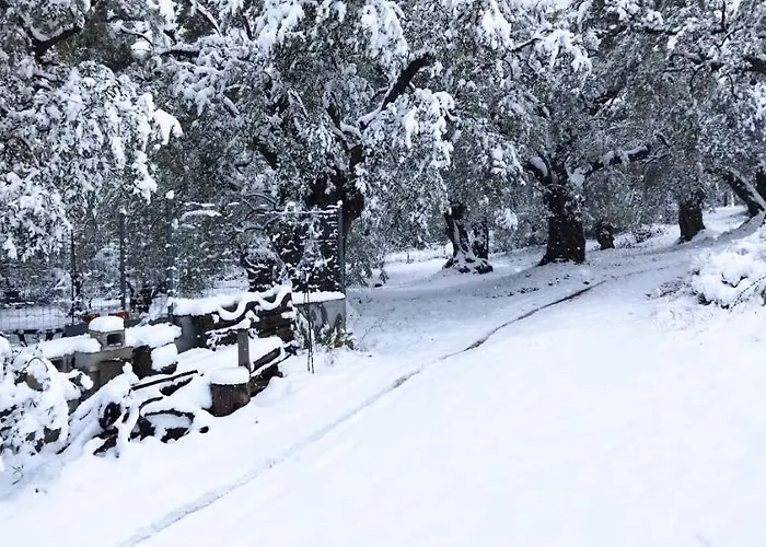 View House * Агрия