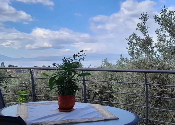 View House Дом отдыха