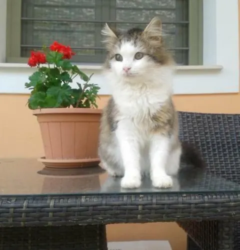 View House Дом отдыха *