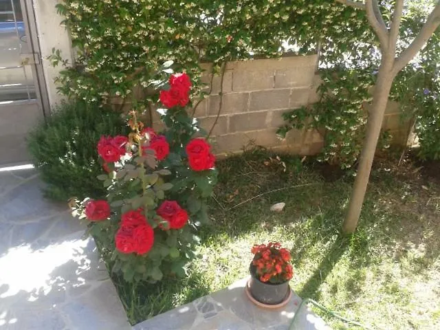 View House Агрия